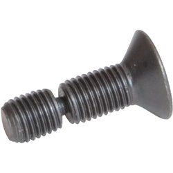 Śruba