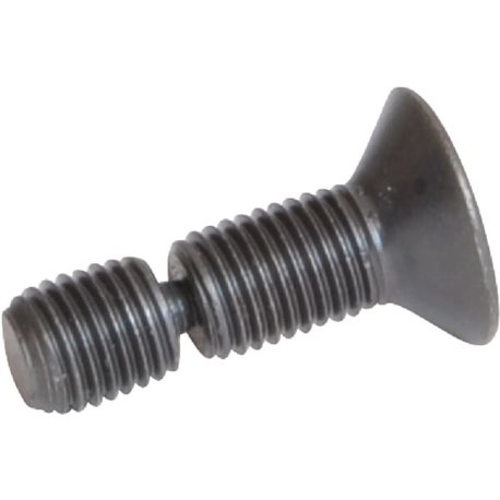 Śruba