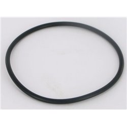 Pierścień uszczelniający o-ring 74x3