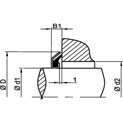 Uszczelnienie Alphaseal RC, 17 x 32 x 4 mm