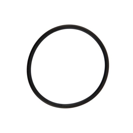 Oring 2,62X42,52 3168 EPDM 460000210 Arag 8026834099050