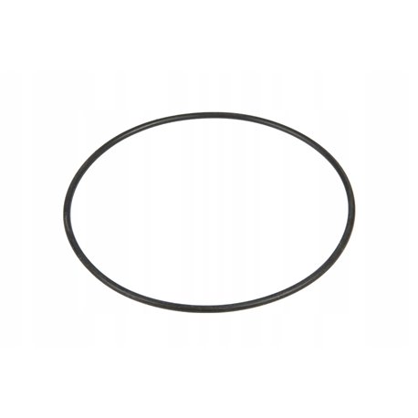 Oring 76x2