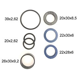 Zestaw uszczelek siłownika 0501 z tloczyskiem 20mm MZ