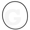 Oring 101.3x2.6 Rau