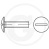 Wkręt M6x10mm Din 88107 z łbem grzybkowym poszerzanym kl.5.6 ocynk4043952666173