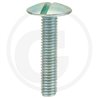 Wkręt M6x30mm Din 88107 z łbem grzybkowym poszerzanym kl.5.6 ocynk