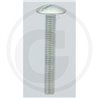 Wkręt M6x45mm Din 88107 z łbem grzybkowym poszerzanym kl.5.6 ocynk