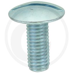 Wkręt M8x20mm Din 88107 z łbem grzybkowym poszerzanym kl.5.6 ocynk