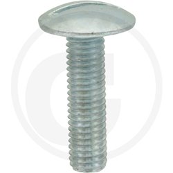 Wkręt M8x30mm Din 88107 z łbem grzybkowym poszerzanym kl.5.6 ocynk