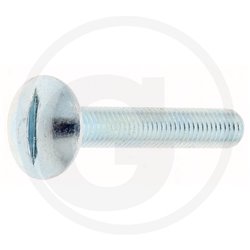 Wkręt M8x50mm Din 88107 z łbem grzybkowym poszerzanym kl.5.6 ocynk