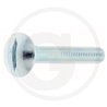 Wkręt M8x50mm Din 88107 z łbem grzybkowym poszerzanym kl.5.6 ocynk