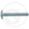 Wkręt M8x55mm Din 88107 z łbem grzybkowym poszerzanym kl.5.6 ocynk4043952666340