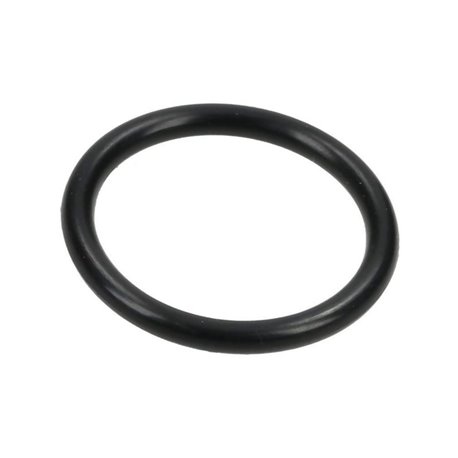 1210000200 Comet Oring 20,7x2,62