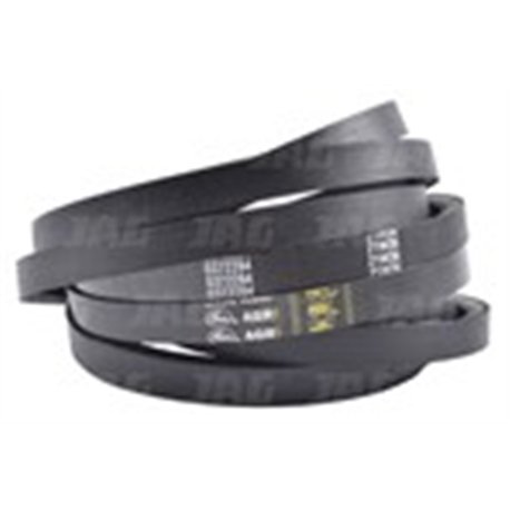 (5) Pas SPA2000Lw, 12,5x2018La Gates (2szt)
