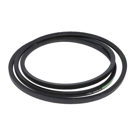(4B) Pas SPB3150Lw, 16x3172 La Optibelt