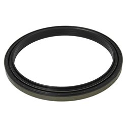 ZF 0734.309.423 Simmering 150,15x175x13/16 ZF, 0734309423