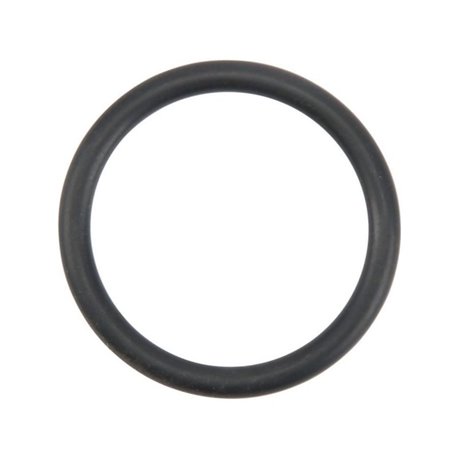 O-ring 37810278