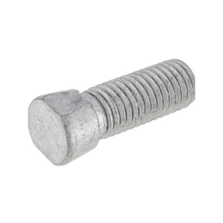 Screw cone-head oval m12x38 F01110052R Maschio F01110052R