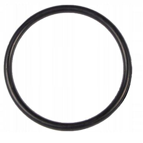 B&P 358000007R02 Oring 64,7x2,6 Bondioli Pavesi