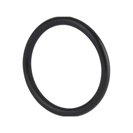 242666 Hardi Oring 38x4 70SH NITR