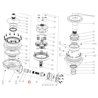 Comer 1754250042 Wałek wejściowy 1i3/4" Z20 "KRÓTKI"