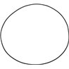 (40) Oring 291,69x3,53