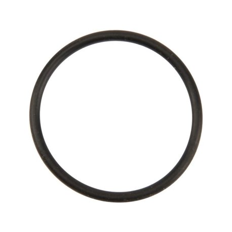 Ring 9375020