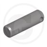 Sworzeń 25x89 W330 Scharmüller