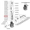 Kołek cylindryczny 10x30 mm, DIN 6325 Scharmüller 02480120