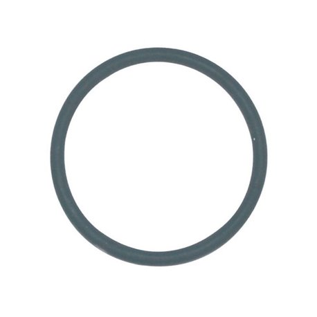 TeeJet CP7717-2/226-VI O-Ring