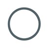 TeeJet CP7717-2/226-VI O-Ring