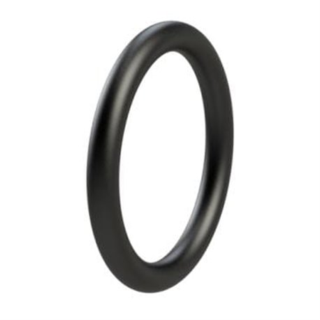 Oring Renault Viton