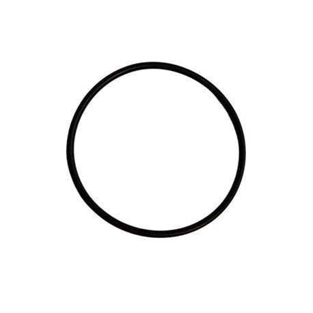 Oring 44,2x3 Viton