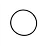 Oring 44,2x3 Viton