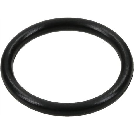 Pierścień uszczelniający o-ring 19x3.0 Rau