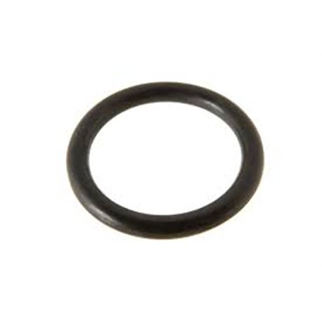 Oring 17.12x2.62 FPM-80