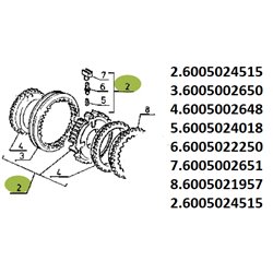 Synchronizator 6005024515