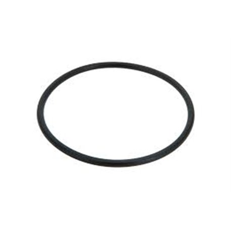 Oring 73,03x3,53