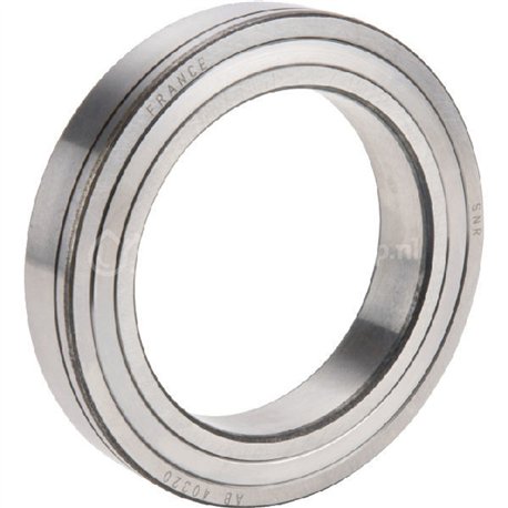 6005018589