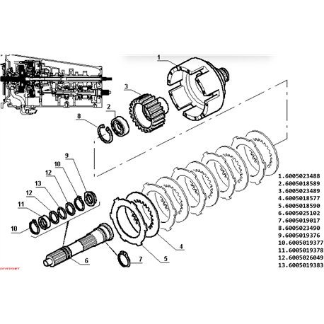 6005023490