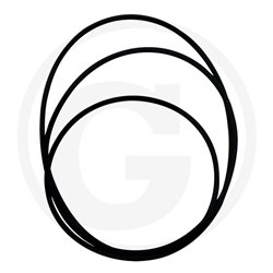 Oring 355,19 x 3,53