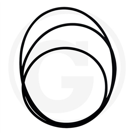 Oring 355,19 x 3,53