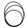 Oring 355,19 x 3,53