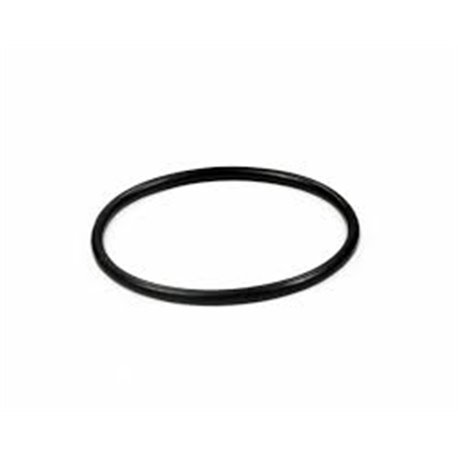 Oring  D60,32 (Rif 164)