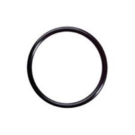 Oring 60,32x Udor
