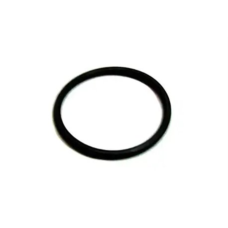 Oring D25,07 Udor