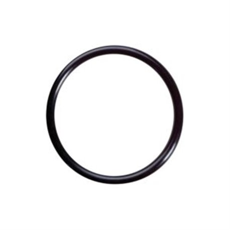 Oring D63 Udor