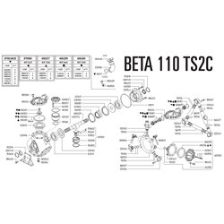 Pompa Beta 110