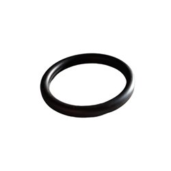 Oring D26