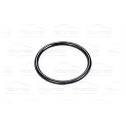 Oring D23,52 zawóru